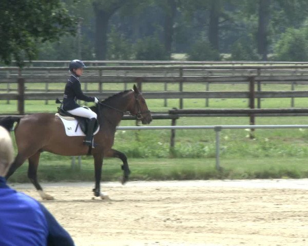 Reitturnier Coesfeld 2019