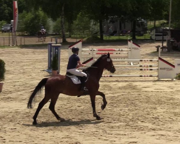 Kiersper Reitertage 2019