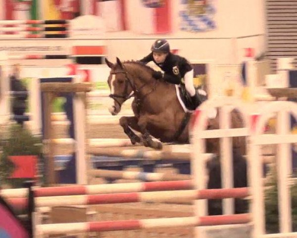 broodmare Bünteeichen-Monja (German Riding Pony, 2007, from Quasi Quattro)