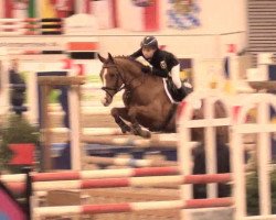 broodmare Bünteeichen-Monja (German Riding Pony, 2007, from Quasi Quattro)