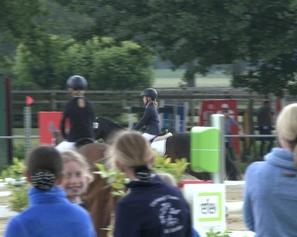 Reitturnier Coesfeld 2019