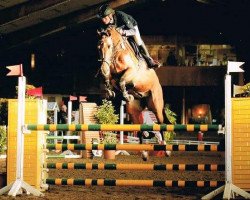 jumper Cajou 11 (Holsteiner, 2009, from Casall Ask)
