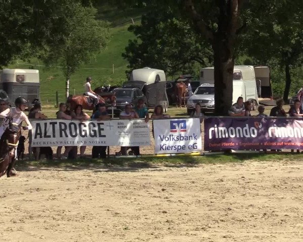 Kiersper Reitertage 2019
