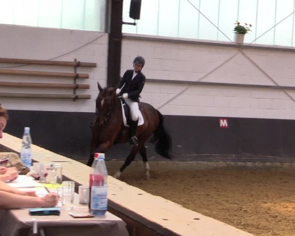 Kiersper Reitertage 2019