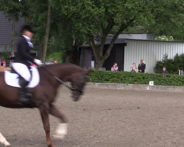 Kiersper Reitertage 2019
