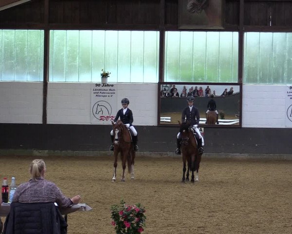 Kiersper Reitertage 2019