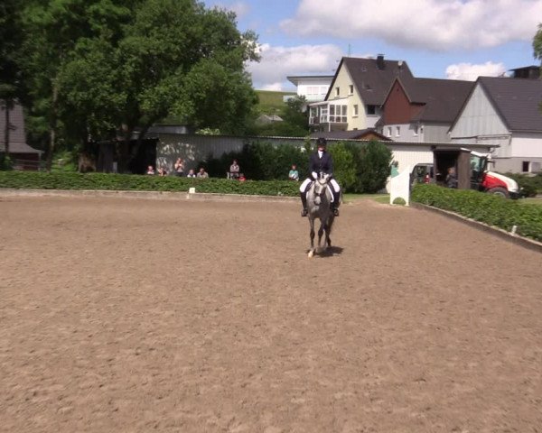 Kiersper Reitertage 2019