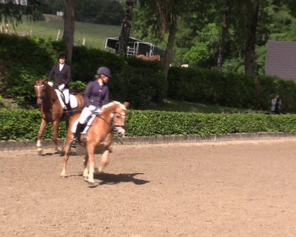 Kiersper Reitertage 2019