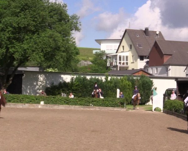 Kiersper Reitertage 2019