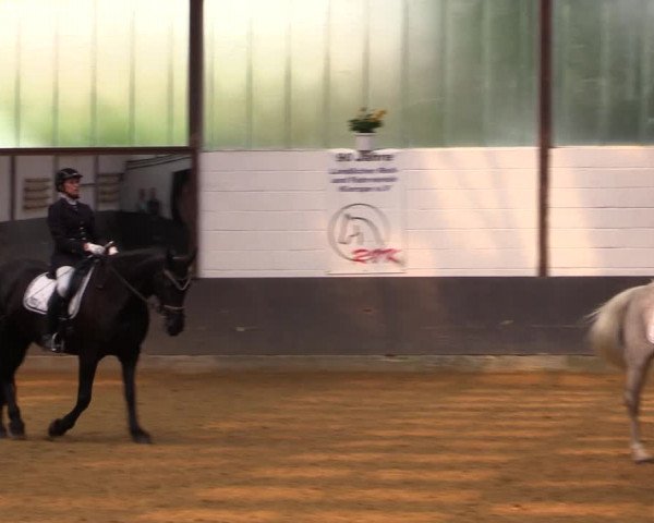 Kiersper Reitertage 2019