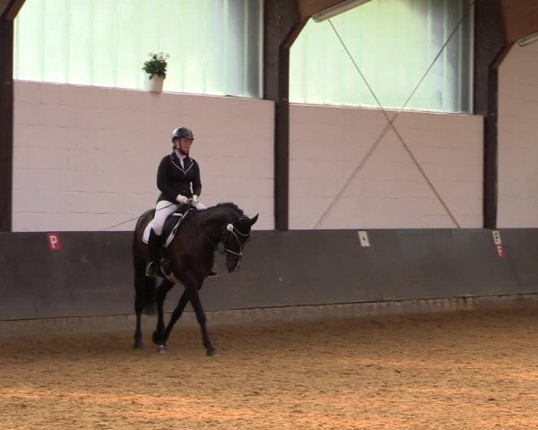 Kiersper Reitertage 2019