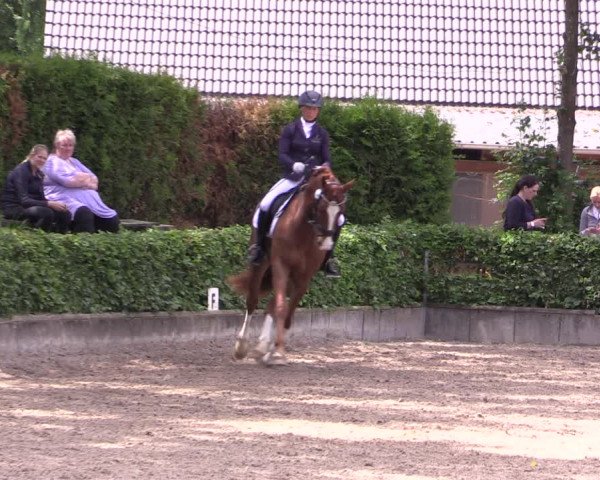 Kiersper Reitertage 2019