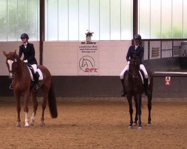 Kiersper Reitertage 2019