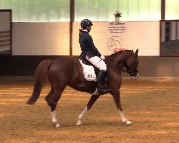 Kiersper Reitertage 2019