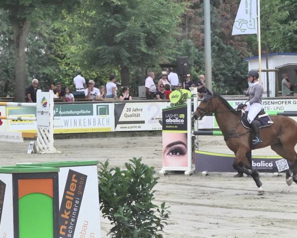 Reitturnier Viernheim 2019