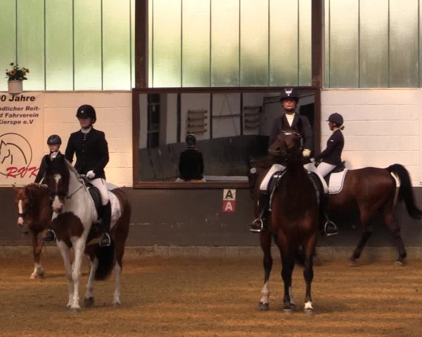 Kiersper Reitertage 2019
