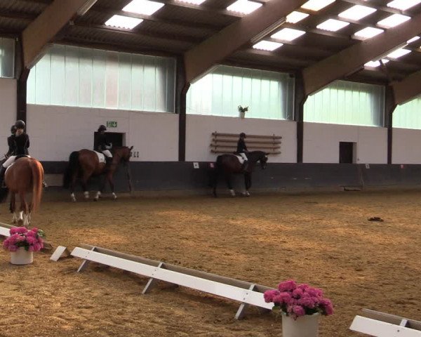 Kiersper Reitertage 2019