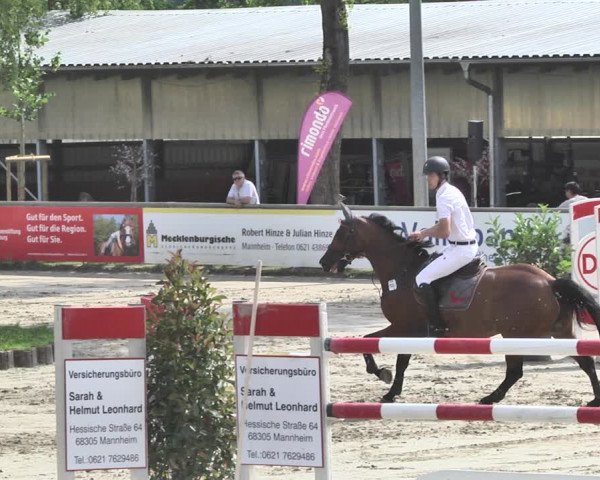 Reitturnier Viernheim 2019