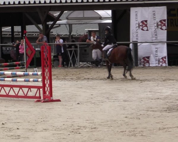 Reitturnier Haiger-Rodenbach 2019