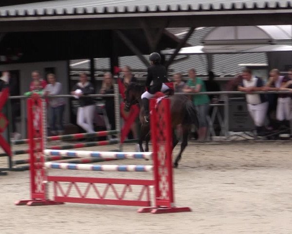 Reitturnier Haiger-Rodenbach 2019