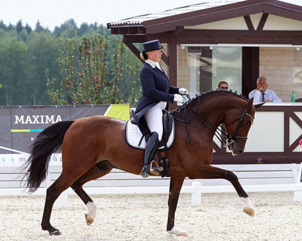 Dressurpferd Rubinio Royal (Westfale, 2005, von Rubin Cortes OLD)