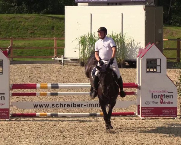 Reitturnier Höven 2019