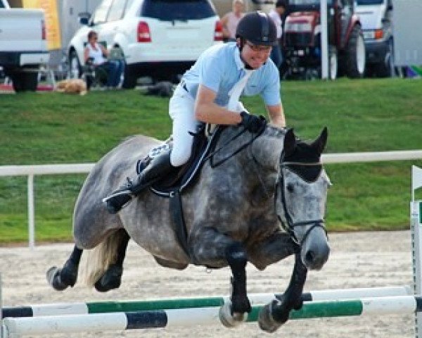 broodmare Certina S CH (Swiss Warmblood, 2005, from Courage II)