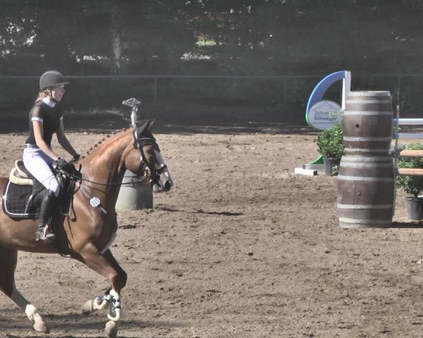 Reitturnier Wiesloch 2019