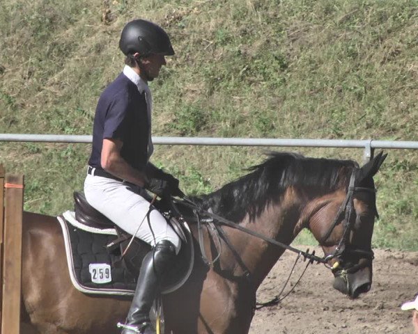Reitturnier Wiesloch 2019