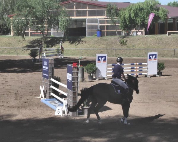 Reitturnier Wiesloch 2019
