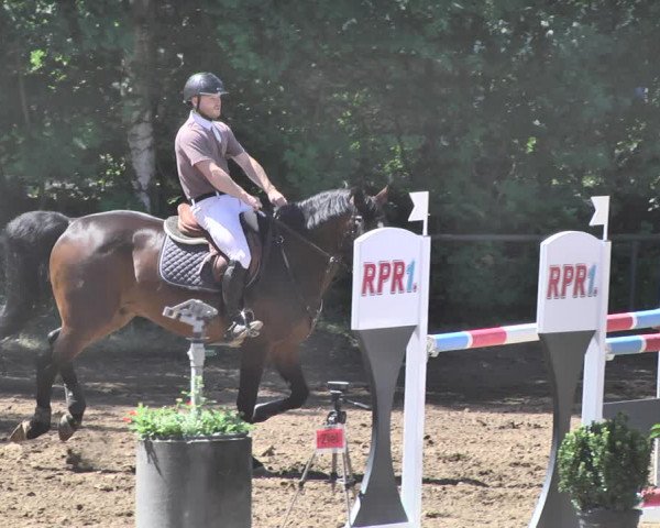 Reitturnier Wiesloch 2019