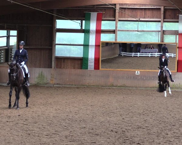 Reitturnier Schwerte-Gut Kückshausen 2019
