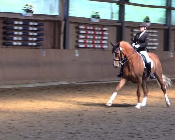 Reitturnier Schwerte-Gut Kückshausen 2019