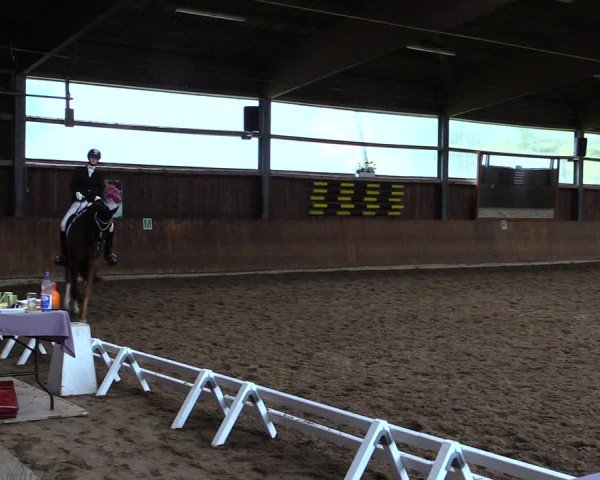 Reitturnier Schwerte-Gut Kückshausen 2019