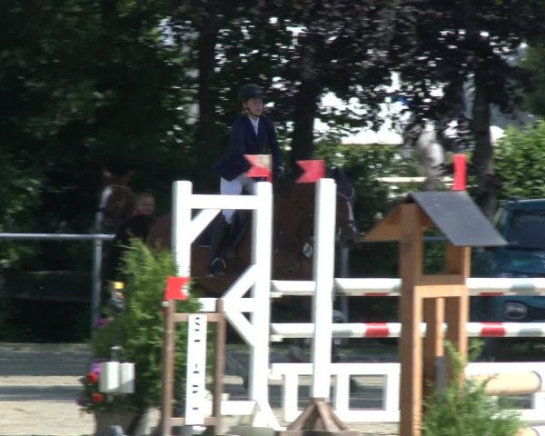 Reitturnier Schwerte-Gut Kückshausen 2019