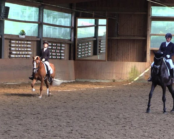 Reitturnier Schwerte-Gut Kückshausen 2019