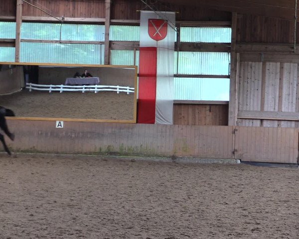 Reitturnier Schwerte-Gut Kückshausen 2019