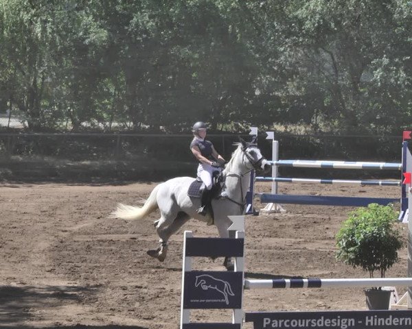Reitturnier Wiesloch 2019
