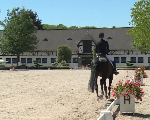 Reitturnier Kronberg /Schafhof 2019