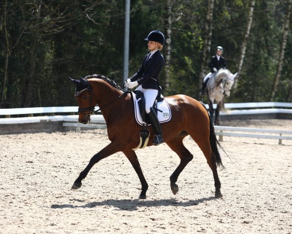 Dressurpferd Induna van het Goorhof (Anglo Europäisches Sportpferd, 2008, von Travolta)