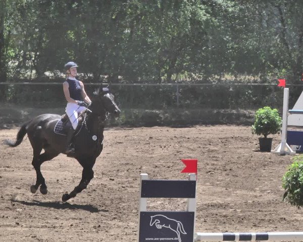 Reitturnier Wiesloch 2019