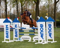 Springpferd VDL Groep Ernest (KWPN (Niederländisches Warmblut), 2009, von Diamant de Semilly)