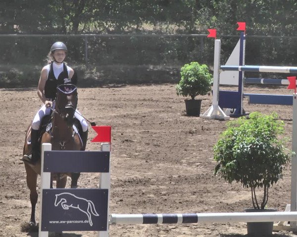 Reitturnier Wiesloch 2019