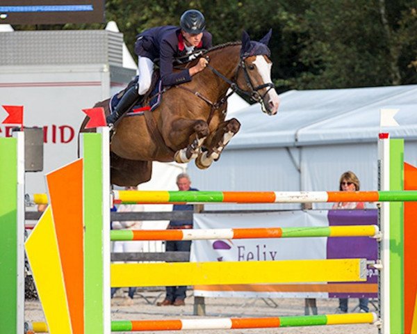 jumper Blikvanger (KWPN (Royal Dutch Sporthorse), 2006, from Hamlet)