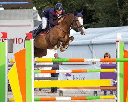 jumper Blikvanger (KWPN (Royal Dutch Sporthorse), 2006, from Hamlet)