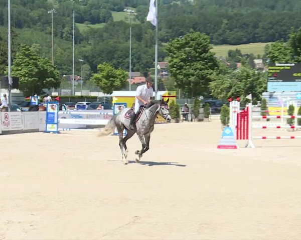 Reitturnier Balsthal 2019