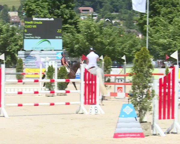 Reitturnier Balsthal 2019