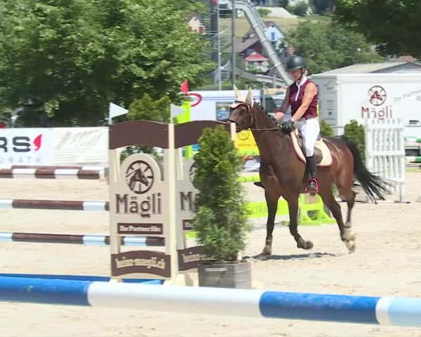 Reitturnier Balsthal 2019