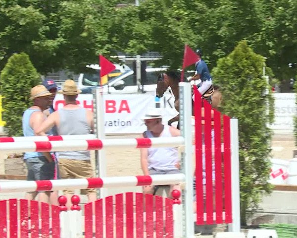 Reitturnier Balsthal 2019