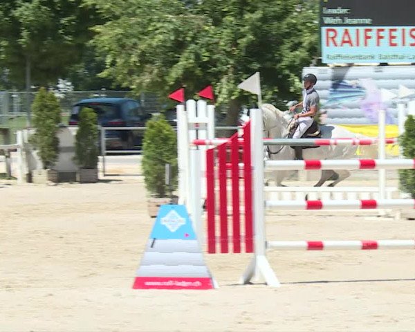 Reitturnier Balsthal 2019